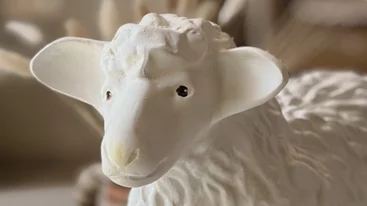 Για φίνα μοσχίδα, φιλέτο προβατίνας και κόκορα παστιτσάδα στον Νέο Κόσμο