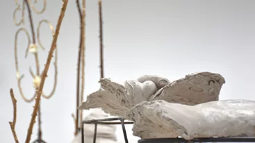 Στο "An Evening Botanist", η τέχνη συνδέεται με τη θεραπεία και τη σωματική επιθυμία