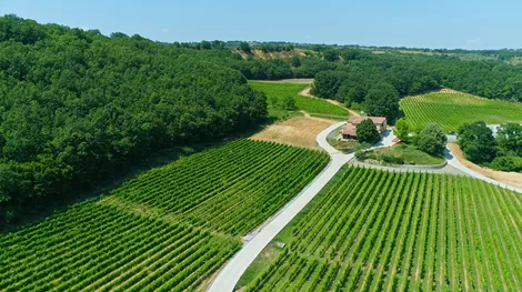 Εξερευνώντας τα ωραιότερα οινοποιεία της Βόρειας Ελλάδας