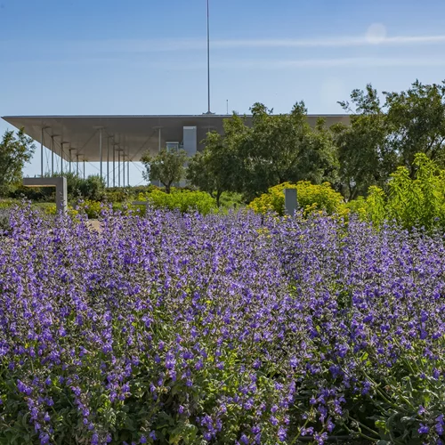 Πρωτομαγιά στο ΚΠΙΣΝ με μουσική, χορό και ανοιξιάτικες δραστηριότητες για όλους