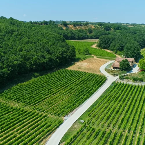 Εξερευνώντας τα ωραιότερα οινοποιεία της Βόρειας Ελλάδας