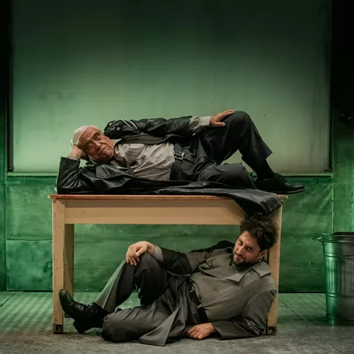 Ο πουπουλένιος