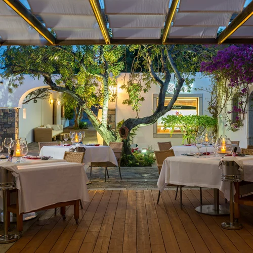 To "Dionysos" υποδέχεται τα φημισμένα κρασιά του Isole e Olena