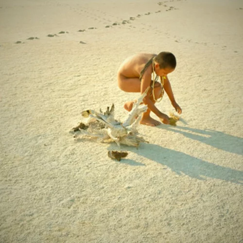 Αύτες είναι οι συμμετοχές του Διεθνούς Διαγωνιστικού προγράμματος του 12ου Φεστιβάλ Πρωτοποριακού Κινηματογράφου