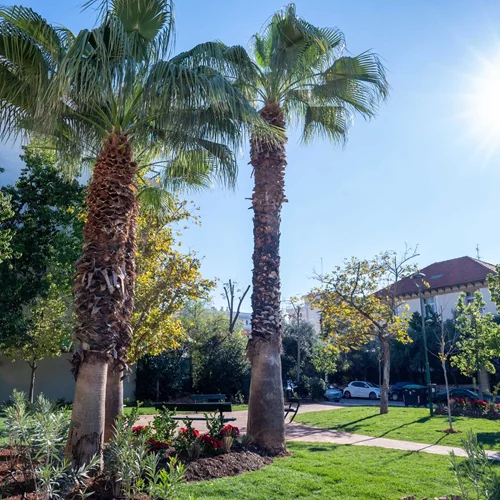 Ένα νέο πάρκο τσέπης στα Άνω Πατήσια στο πλαίσιο του προγράμματος "Υιοθέτησε την πόλη σου"