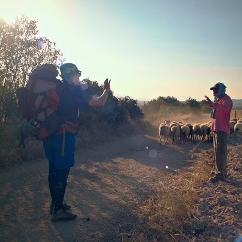"Art of the Encounter": Περπατώντας από το Κάσελ ως την Αθήνα