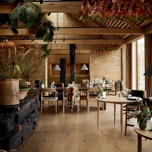 Για (ό)Noma με τον γαστρονομικό λαϊκισμό της γιαγιάς!