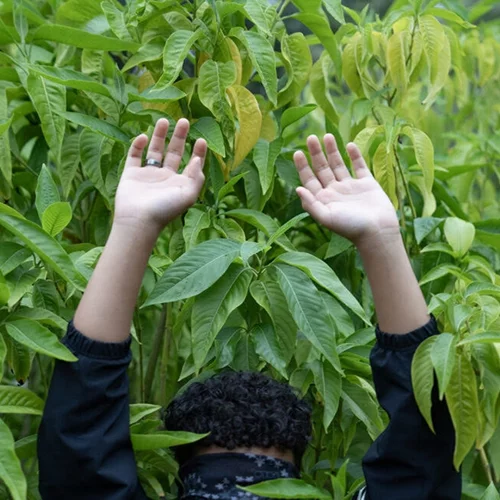 Τα δικαιώματα των νεότερων γενεών αποτυπώνονται σε μια έκθεση φωτογραφίας