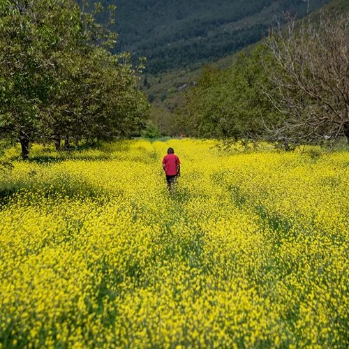 Στο "Σπόρο", οι άνθρωποι μεταμορφώνουν τους τόπους τους