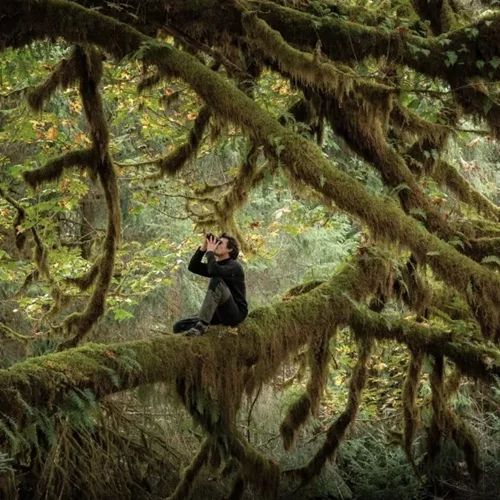 Το Τραγούδι του Δάσους