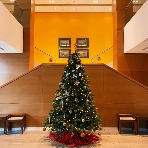 Χριστούγεννα για μικρούς και μεγάλους στη Μουσική Βιβλιοθήκη του Συλλόγου Οι φίλοι της Μουσικής