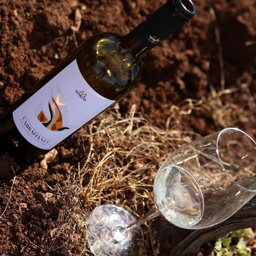 Οινοποιητική Σώκος: Το μονοποικιλιακό "Σαββατιανό" που αγαπά το ελληνικό Πάσχα