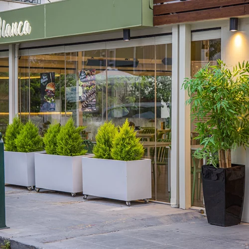 Video walkthrough: Η Ναταλία Δραγούμη οδηγείται με πυξίδα το καλό κρέας στο "Μάσα Blanca"