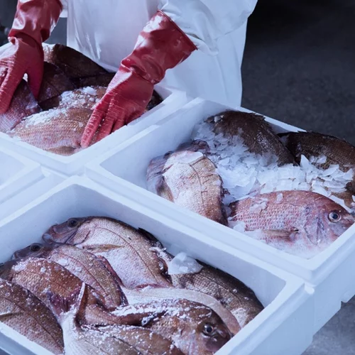 Τι τρώνε τα ψάρια που τρώμε;