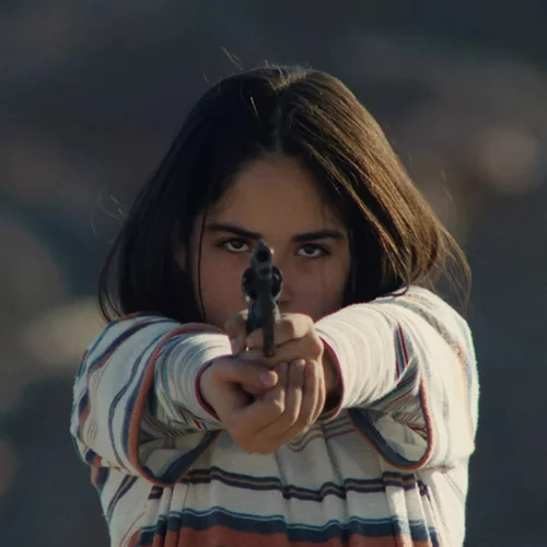 Το Μυστηριώδες Βλέμμα του Ροζ Φλαμίνγκο