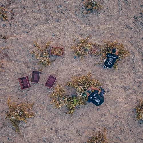 Και είναι η "(Ρ)αμπελιά"! To 1o κρασί της νέας γενιάς του Οινοποιείου Χατζηδάκη