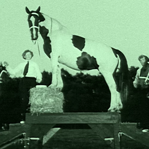 Για την Έλια Καλογιάννη "κάποιες φορές, η εκδίκηση από τη μεριά της φύσης έρχεται ως λύτρωση"