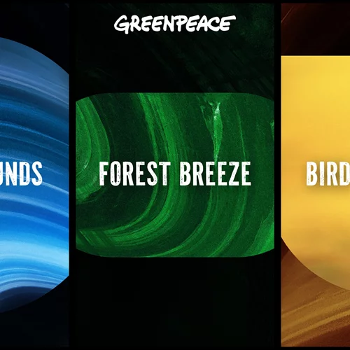 Μπορεί μια playlist με nature sounds από την Greenpeace να βοηθήσει τη φύση;