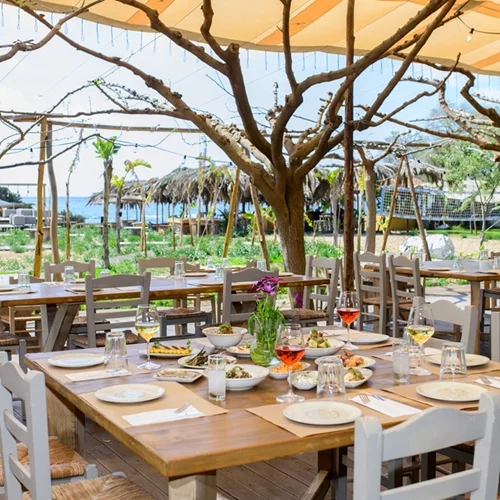 Ammothines: Farm to table με φόντο τους αμμόλοφους