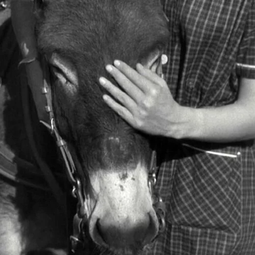 Απόψε (27/9) στην TV: Παρέα με Μπρεσόν και Κρόνερμπεργκ