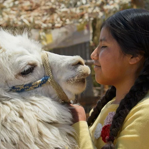 Απόψε (1/6) στην TV: διακοπές στο νησί του Ήλιου