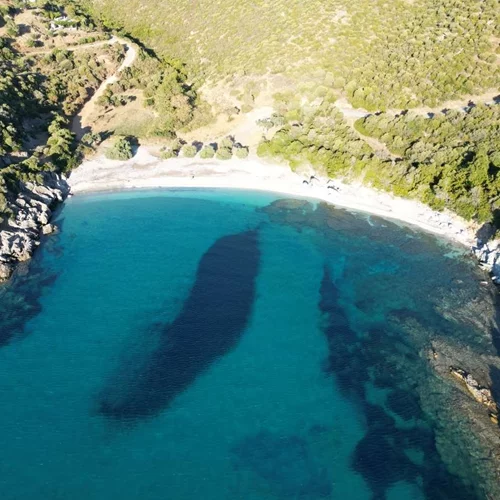 Λένε πως σε αυτή την παραλία της Εύβοιας που δεν έχει ποτέ κύμα