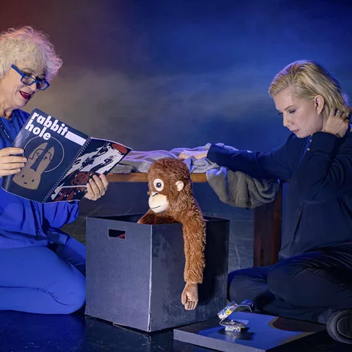 "Rabbit hole": Το συναρπαστικό αμερικάνικο δράμα για τρεις τελευταίες παραστάσεις