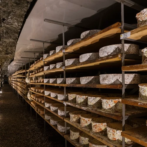 "GenussBunker": "Οχυρό" εκλεκτών τυριών