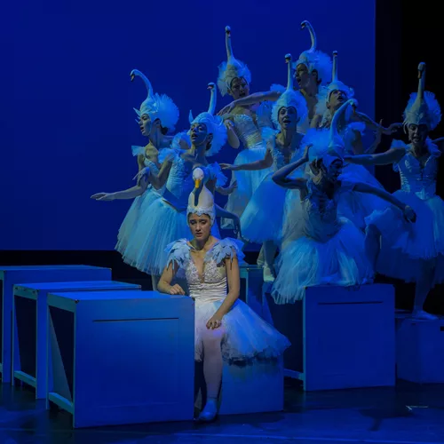 Ιζαντόρα Ντακ