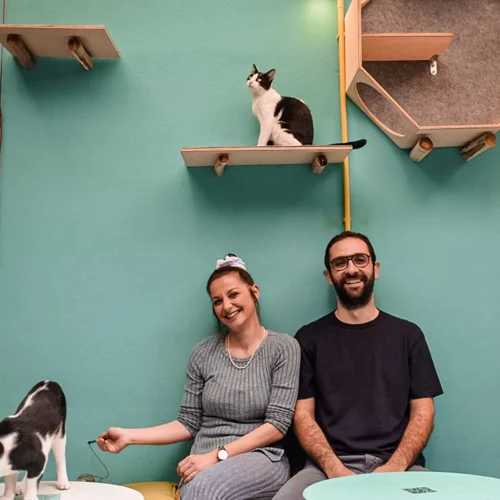 Η περιέργεια γιόρτασε τη γάτα! Το 1ο Cat Festival της Αθήνας είναι γεγονός