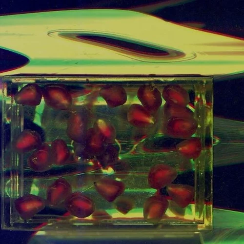 Innerland Project: Ένας διάλογος μεταξύ Τέχνης και Ψυχολογίας