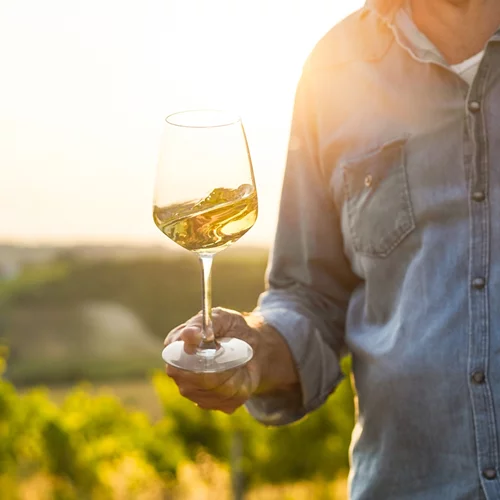 Το Great Greek Wines επιστρέφει δυναμικά το 2025