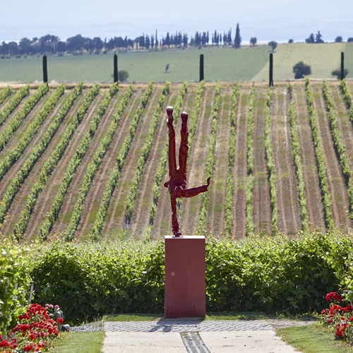 Το Κτήμα Γεροβασιλείου έχει πολλά πέρα απ’ το κρασί