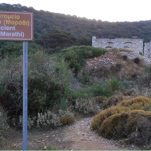 Στον Δήμο Πάρου παραχωρεί η οικογένεια Δαμία τα Αρχαία Λατομεία Μαρμάρου