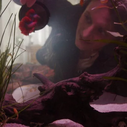 Ελληνικό και ευρωπαϊκό σινεμά στο επίκεντρο του φεστιβάλ Petit Plan: Europa III