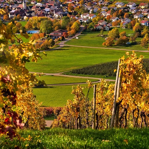 Orbis Vini: Για πρώτη φορά στην Ελλάδα μία έκθεση αφιερωμένη στα "κρασιά του κόσμου"