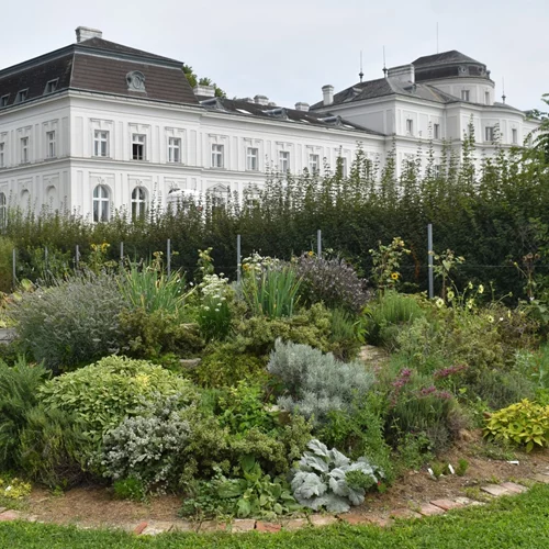 Το γαστρονομικό case study της Βιέννης που φιλοδοξεί να μετατραπεί σε μια από τις πιο βιώσιμες ευρωπαϊκές πόλεις