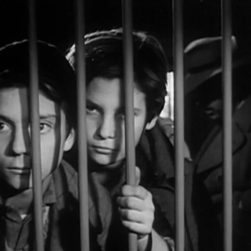 Λούστρο Παπουτσιών