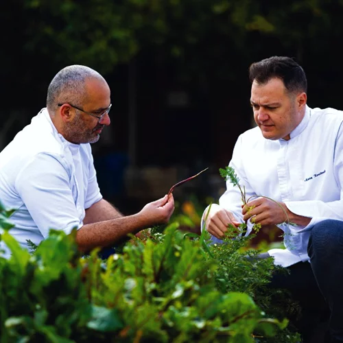 Απ' το μποστάνι στο τραπέζι: οι σεφ των Χρυσών Σκούφων φιλοσοφούν