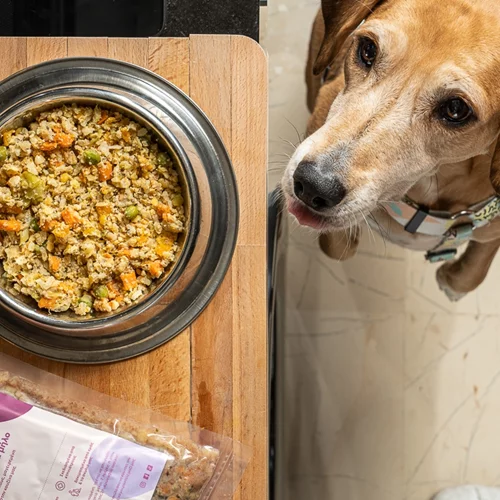 Οι υπερτροφές δεν ωφελούν μόνο εσένα, αλλά και το σκύλο σου - Και θα τις βρεις στο μαγειρευτό φαγητό για το κατοικίδιό σου