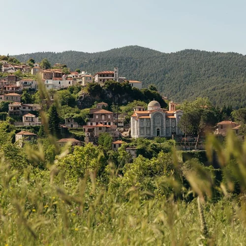 Αύγουστος γεμάτος εκπλήξεις στη Βαμβακού Λακωνίας