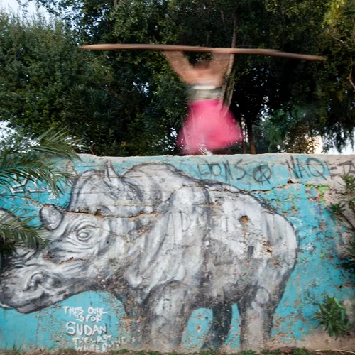 "meta-Rινόκερos": Ένα αντισυμβατικό σαφάρι στην αστική σαβάνα