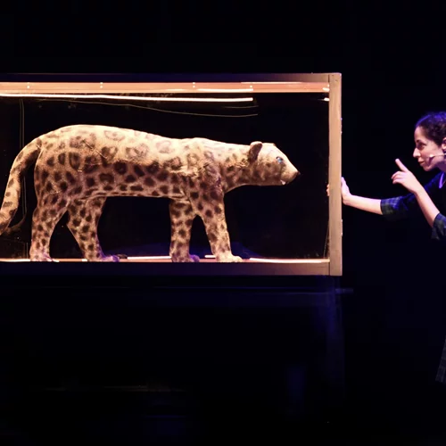 Το θρυλικό "Καπλάνι της Βιτρίνας" συνεχίζει την επιτυχημένη του πορεία στο Ίδρυμα Μιχάλης Κακογιάννης!