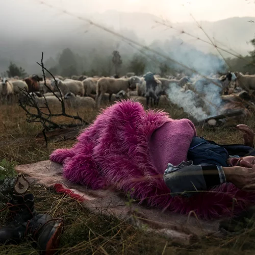 Τα βραβευμένα έργα του Athens Photo World 2021 εκθέτονται στο Πολιτιστικό Κέντρο "Μελίνα"