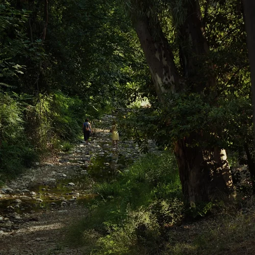 "Ρεματιά 10 χρόνια μετά": Η Δάφνη Λιαναντωνάκη μάς προσκαλεί στην έκθεση του Αρχείου της Ρεματιάς