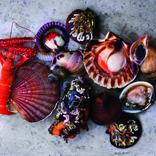 Πώς το σκανδιναβικό γαστρονομικό ήθος κατάφερε να εμπνεύσει όλο τον πλανήτη