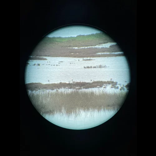 "Το Αιτωλικό είναι το καλύτερο μέρος στον κόσμο". Και γιατί όχι;