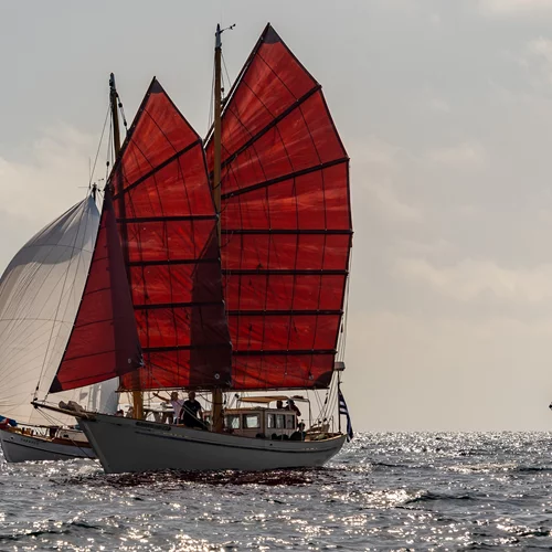 "Surfing on the Art Waves": Μια καλλιτεχνική γιορτή με κοινωνικό αποτύπωμα