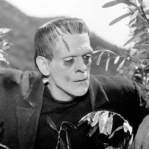 Οι καλύτεροι Φράνκενσταϊν της μεγάλης οθόνης