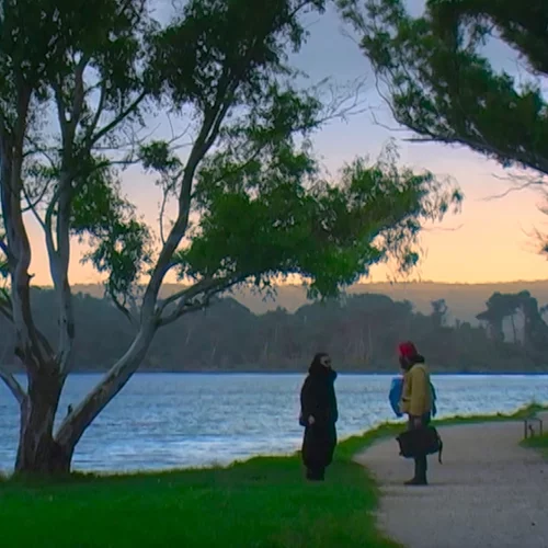 Το 10ο Φεστιβάλ Κινηματογράφου Χανίων σηκώνει αυλαία